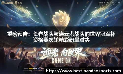 半岛体育BANDAO SPORTS