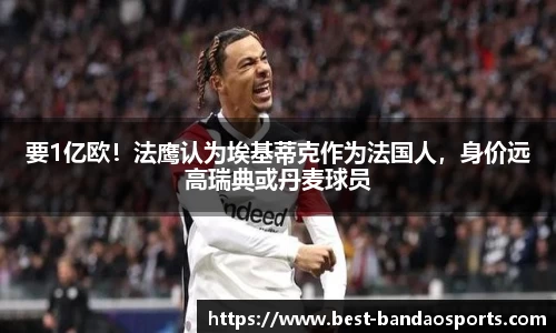 半岛体育官方网站